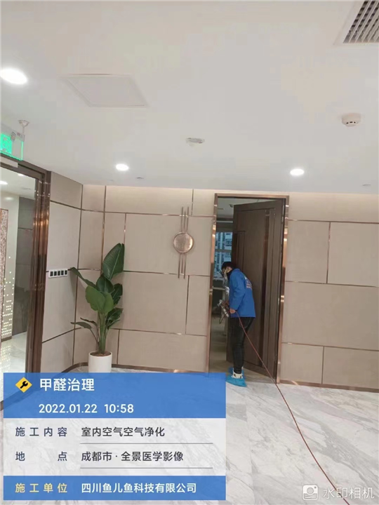 成都除甲醛