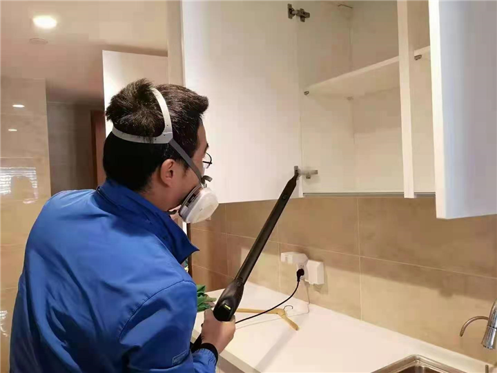 富豪花园甲醛治理 