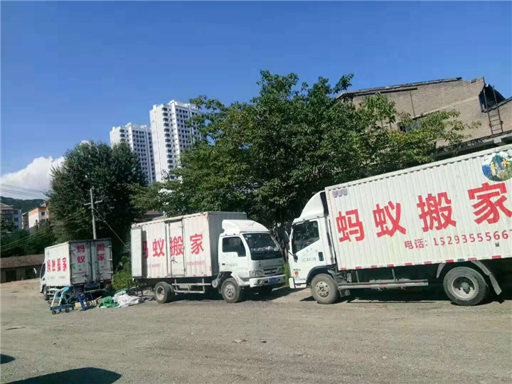 天水市蚂蚁搬家 
