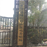 蛋鸡饲养 