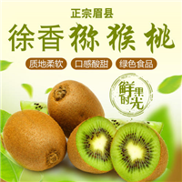 徐香猕猴桃批发厂家 