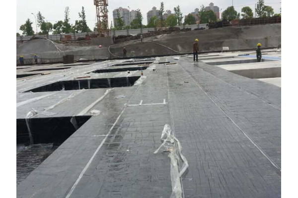 专业防水施工队