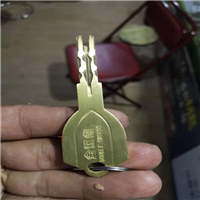 黄果树开汽车锁