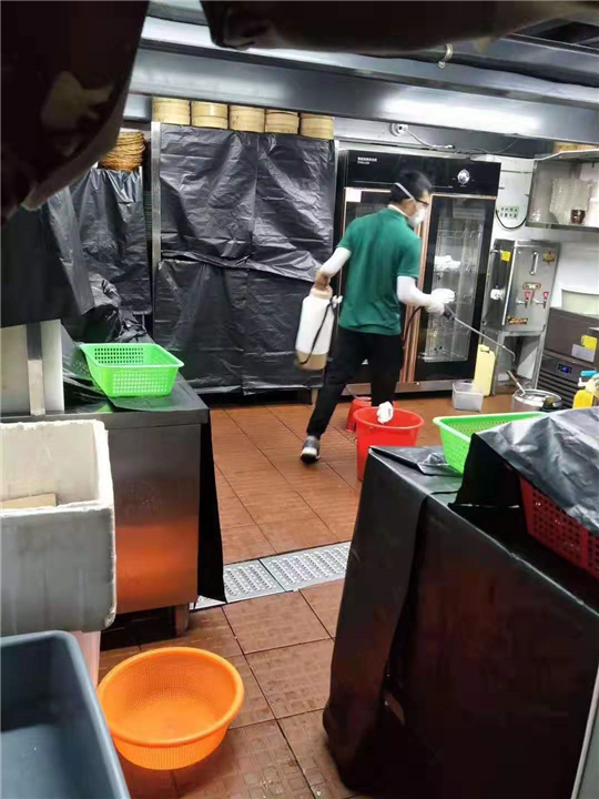 天河区灭蟑螂