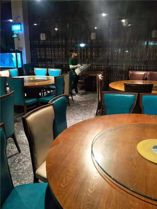 广州灭蚊虫报价