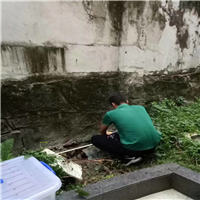 越秀灭蝇电话 