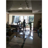 广州灭蚊虫公司