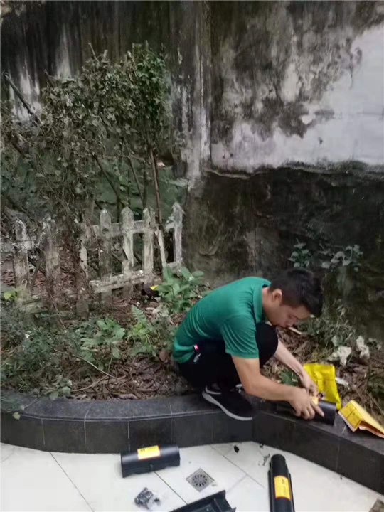 天河区灭老鼠服务