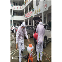 江城六小除甲醛