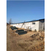 肉鸡养殖基地