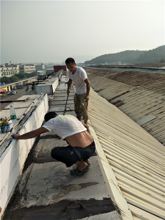 东莞水塔防水补漏 