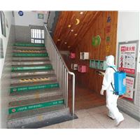 杭州灭鼠电话