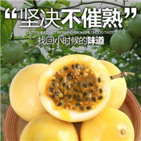 上海百香果 