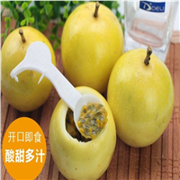 广西百香果 