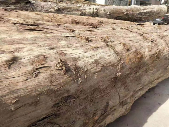 浙江丽水大叶紫檀厂家 
