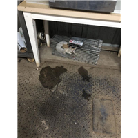 福州灭鼠公司 