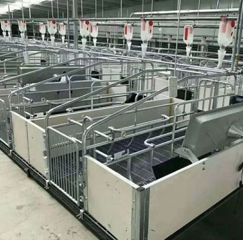 安徽母猪产床A安徽自动化养猪设备 