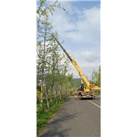 花都吊车建筑行业作用