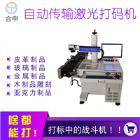 广州自动传输激光打码机厂家 