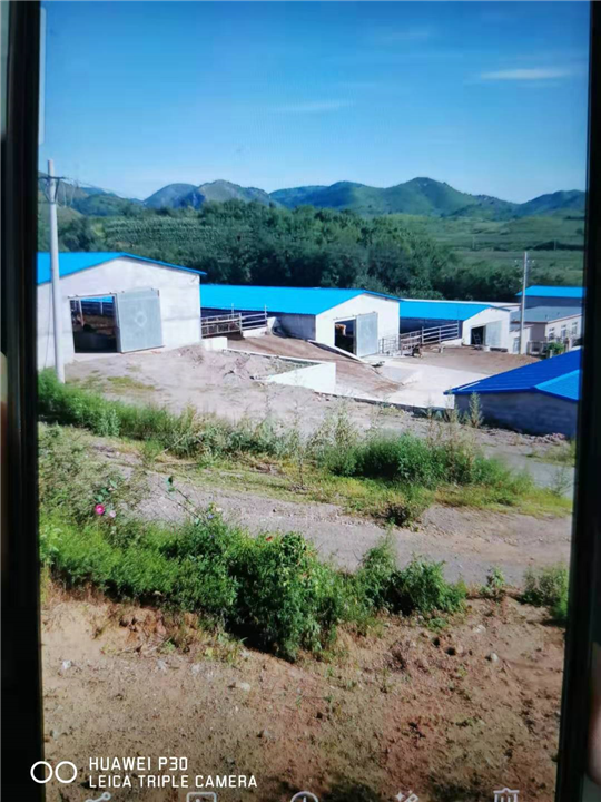 养殖基地