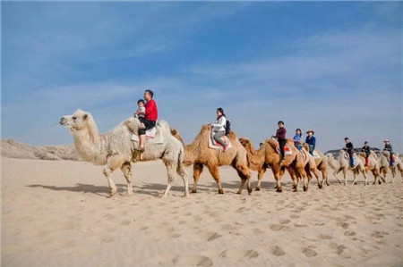 宁夏包车师傅宁夏旅游包车网 