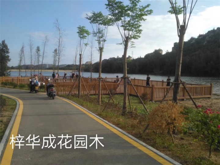 福建防腐木木地板 