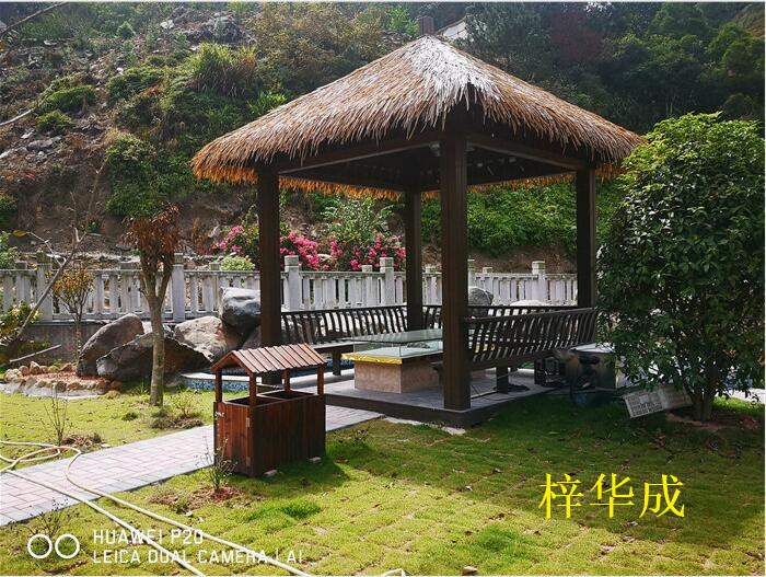 福建花园木 