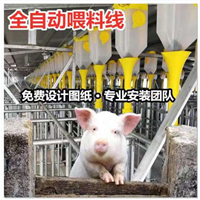 自动喂料系统厂家
