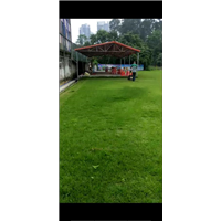 广州学校绿化养护