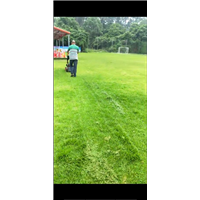 广州学校绿化养护