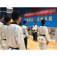 新疆武术培训 