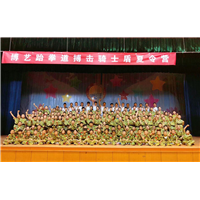 乌鲁木齐跆拳道培训 