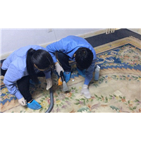 柳南开荒保洁公司