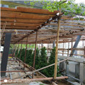 盐田区钢管架搭建厂家