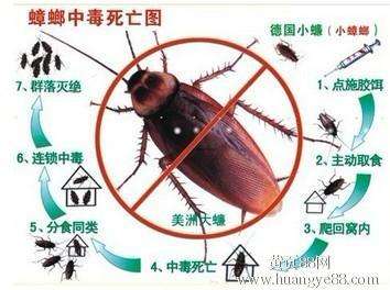 宜春除虫