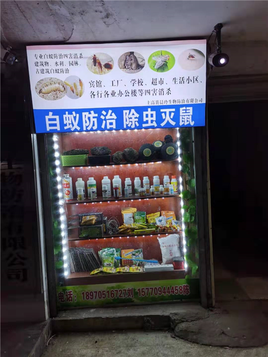 宜春白蚁防治