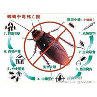宜春除虫