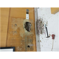 宜春白蚁防治