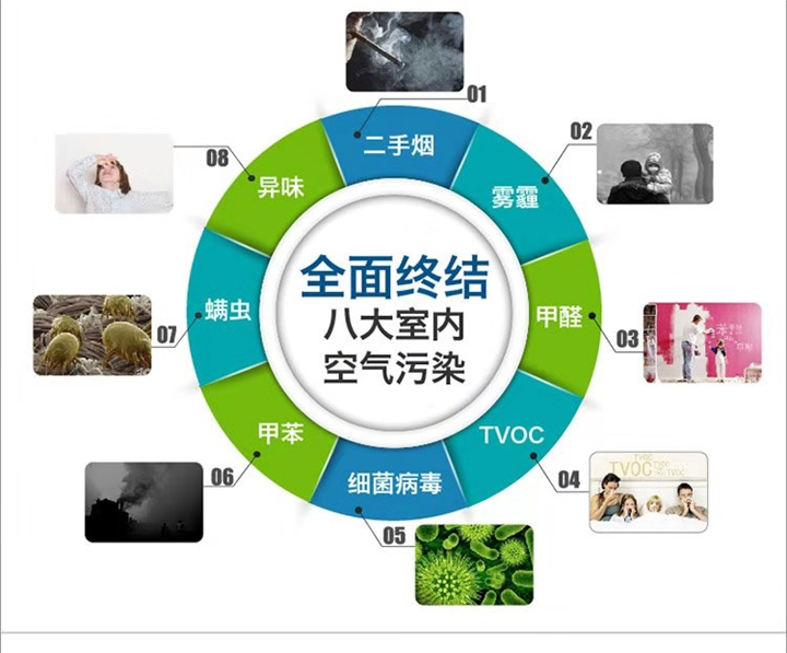大连除甲醛服务电话 