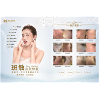 莉伽美集团祛斑皮肤修复