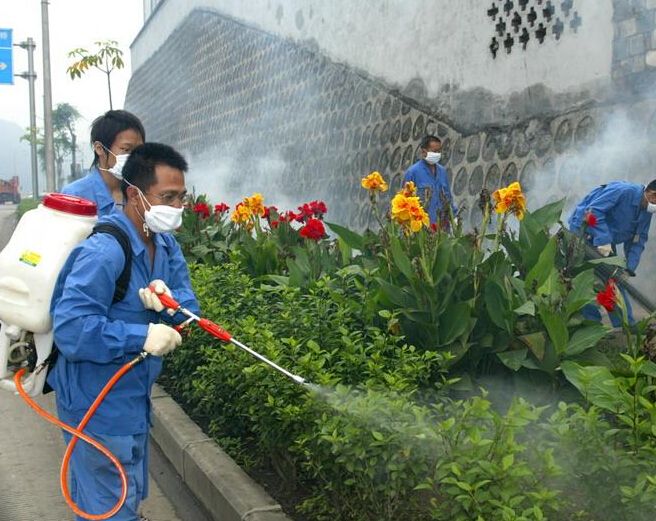 永州灭蟑螂治本措施