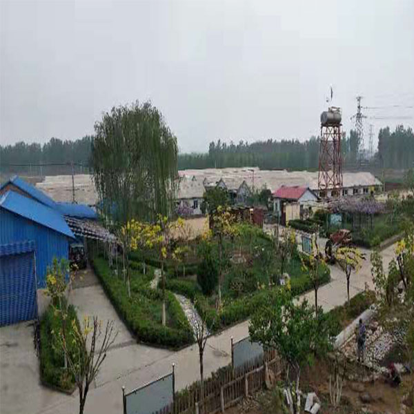 建筑维修队 