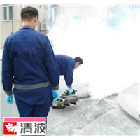 丽水灭鼠公司哪家好