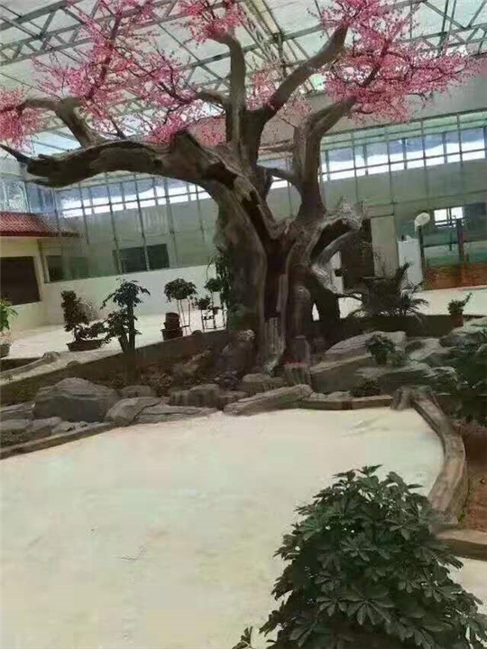 四川假树 