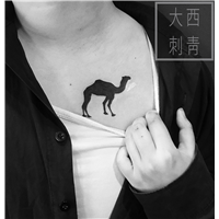 金牛区纹身 