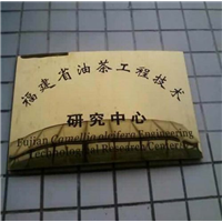 福建油茶一福建省油茶工程技术研究中心