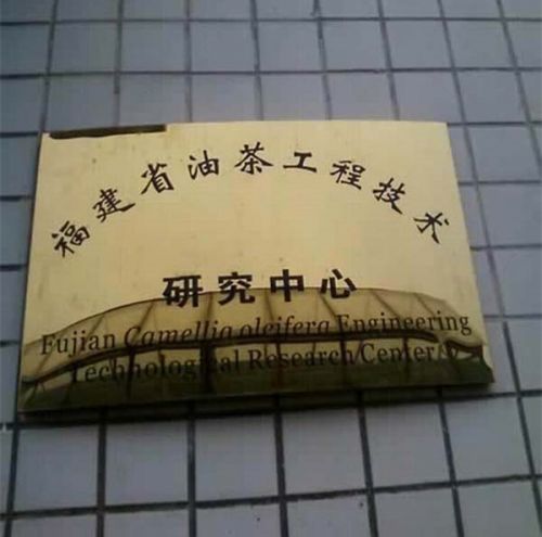 福建油茶一福建省油茶工程技术研究中心