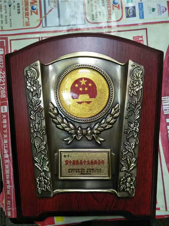 大理铜徽 