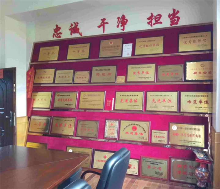 荣誉证书背景墙 