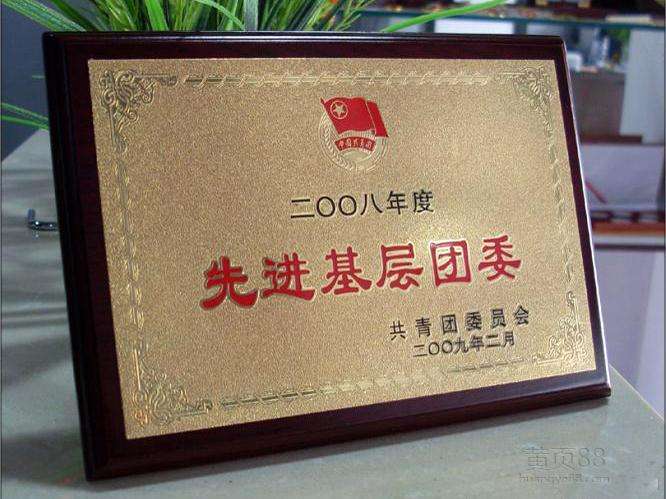 大理沙** 